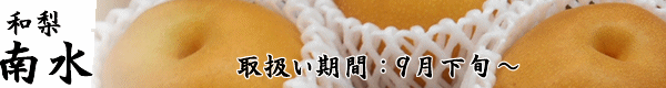 タイトル画像