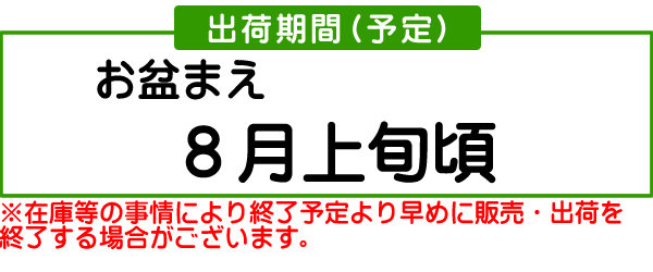 ❤︎ キズあり（小さめ含む）ワッサー 12Kg クール便 すきまにピュー アイボリー KF-112 | 接着・補修・梱包 通販
