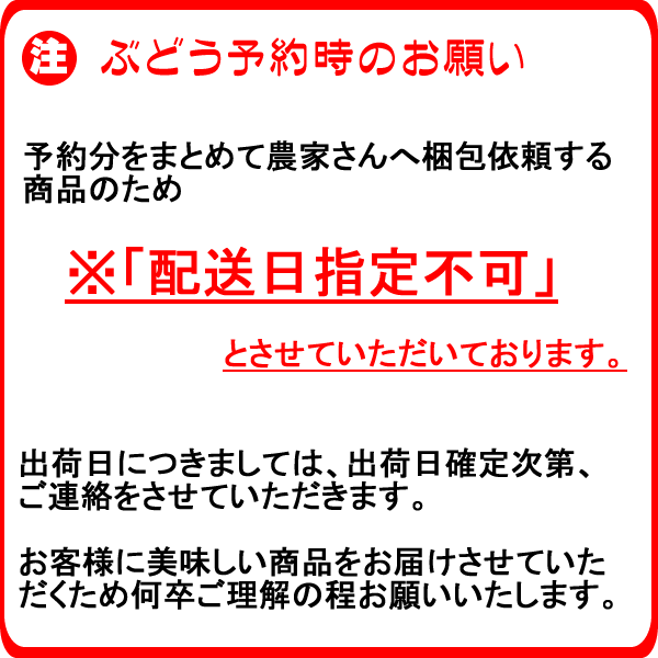 シャインマスカット 約３kg（3〜７房詰） 贈答向け 送料無料 ギフト