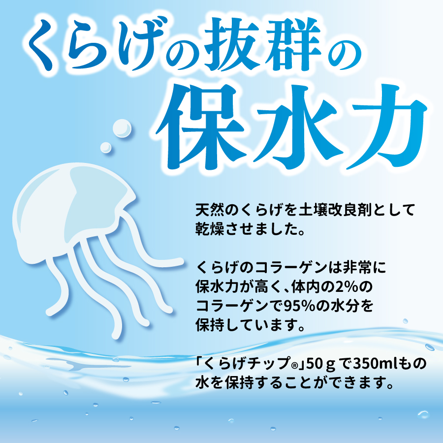 マルトモ公式 くらげチップ 15g（非在庫品）｜マルトモ海幸倶楽部