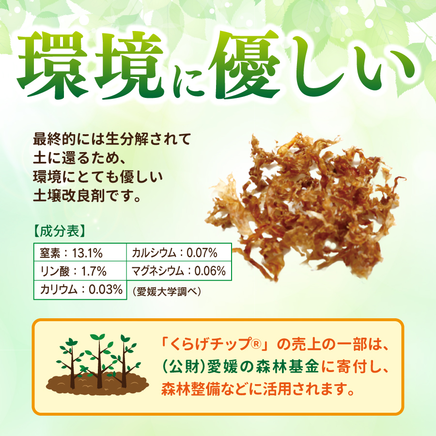 マルトモ公式 くらげチップ 15g（非在庫品）｜マルトモ海幸倶楽部