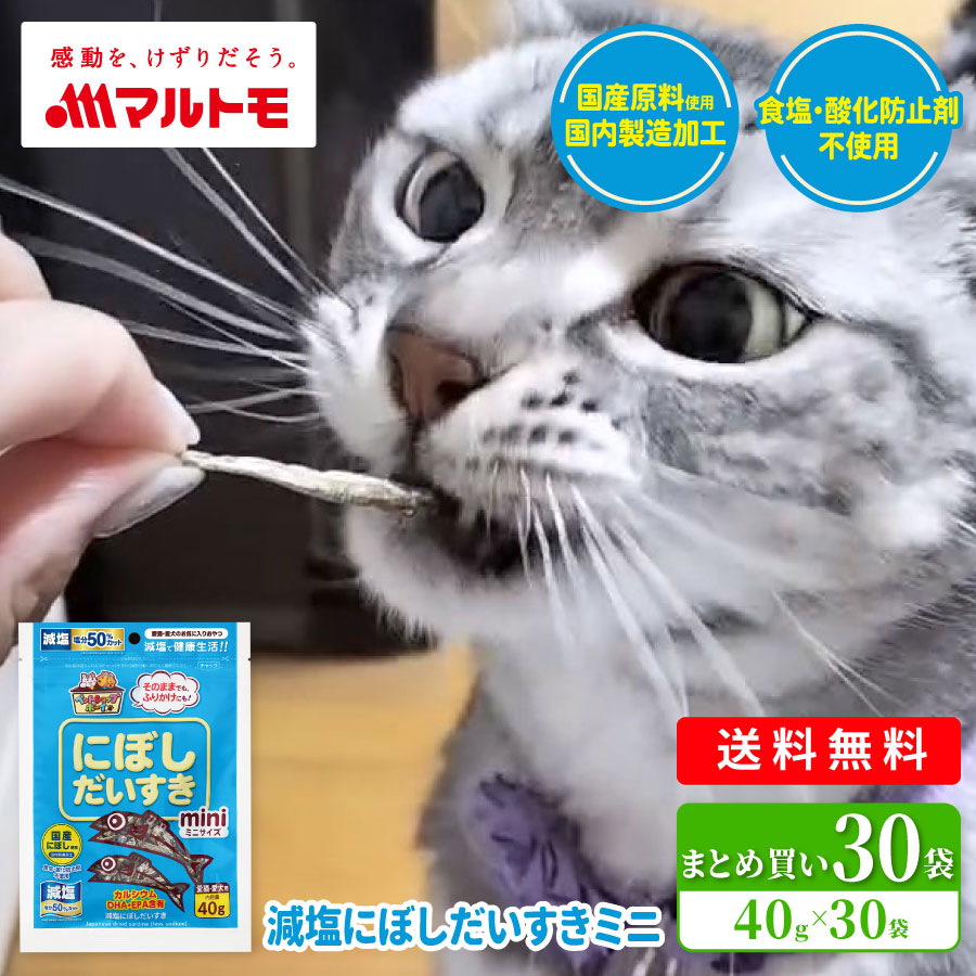  【MLFKD65QP0Q】 限定デザイン