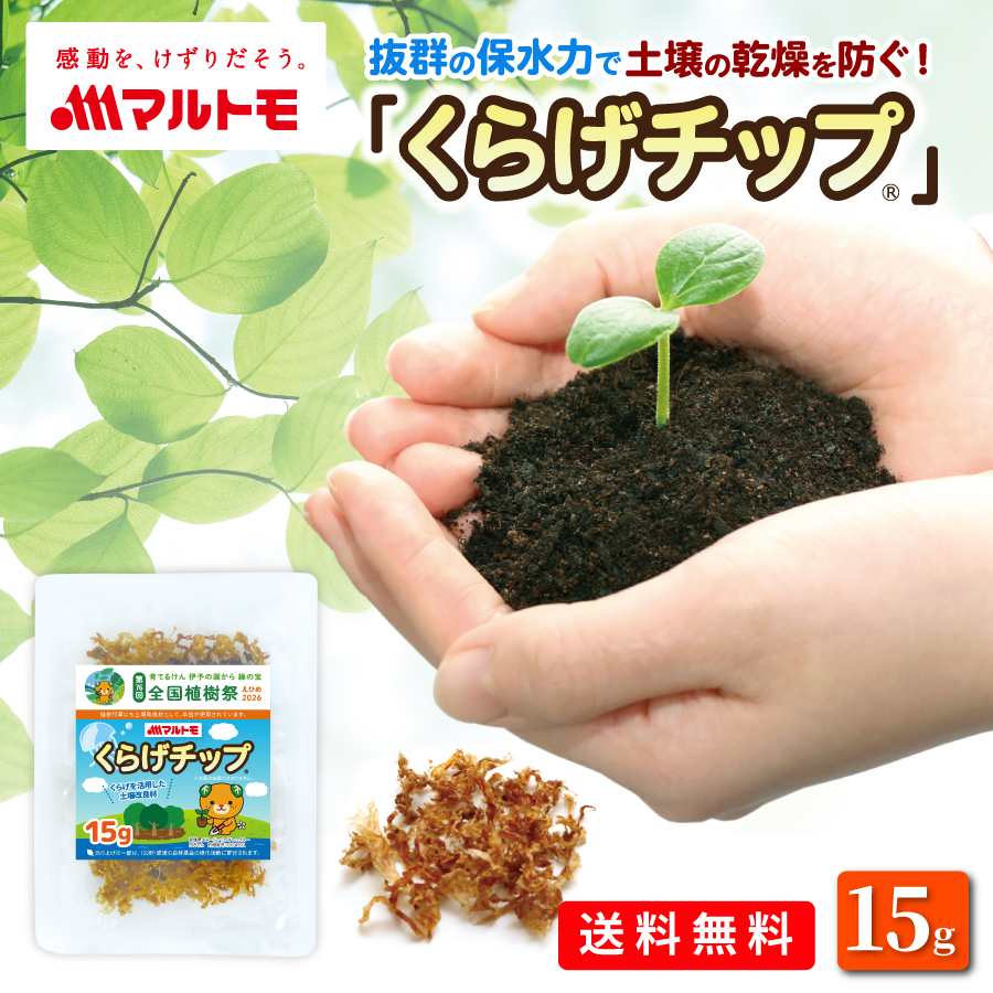 マルトモ公式 くらげチップ 15g（非在庫品）｜マルトモ海幸倶楽部