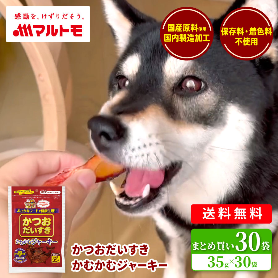 犬 おやつ 無添加 マルトモ公式 かつおだいすき かむかむジャーキー 35g 30個 送料無料｜マルトモ海幸倶楽部｜犬のおやつ 犬用おやつ 大容量