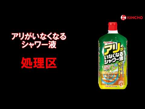 金鳥 アリがいなくなるシャワー液 １Ｌ 3個セット-2