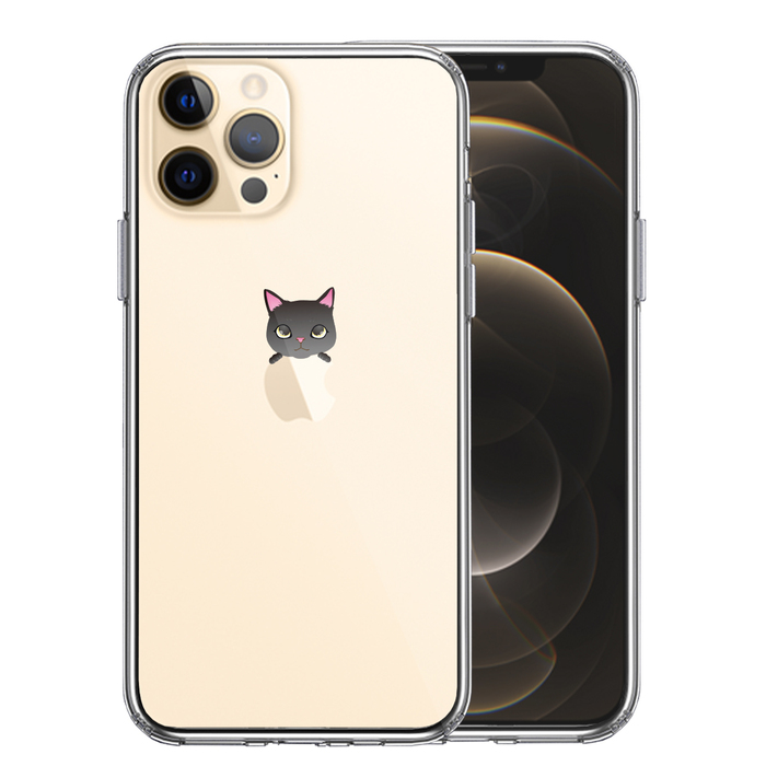 iPhone12Pro ケース クリア のっかり ネコ 1 スマホケース 側面ソフト 背面ハード ハイブリッド-0