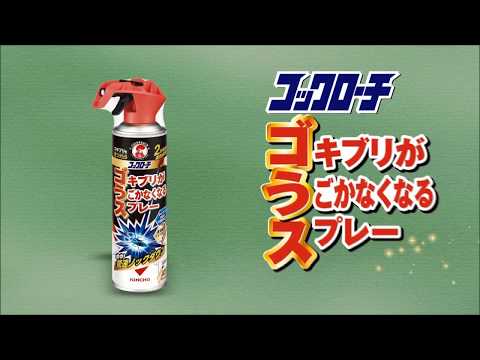 コックローチ ゴキブリがうごかなくなるスプレー ３００ｍＬ 2個セット-3