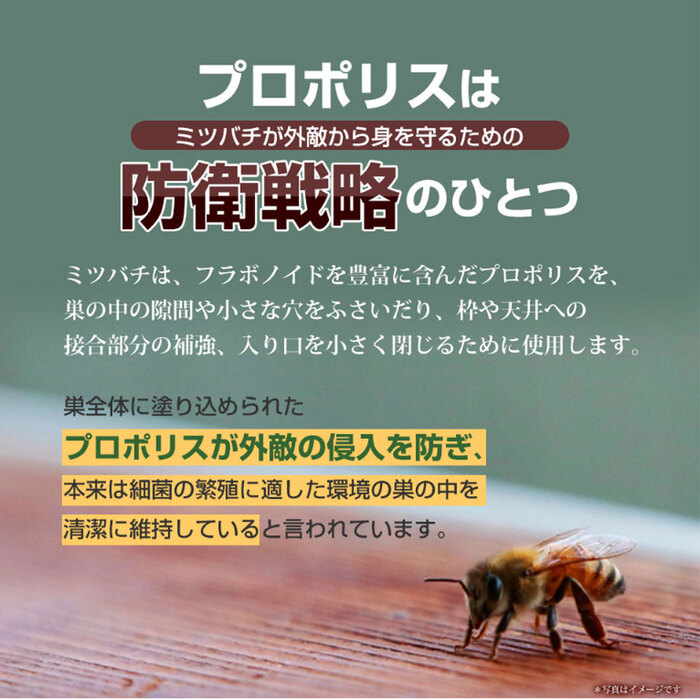 やわた ヘルスサポート プロポリス １ケ月分 ９０粒入-3