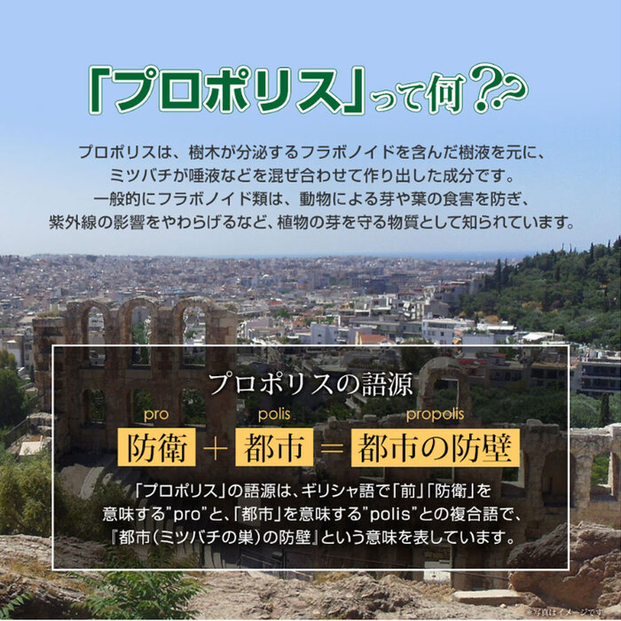 やわた ヘルスサポート プロポリス １ケ月分 ９０粒入-4