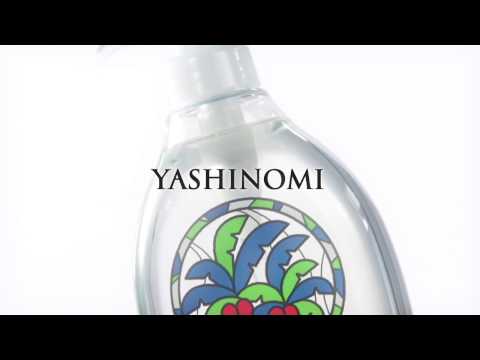 ヤシノミ洗剤 野菜 食器用 ポンプ付本体 ５００ｍＬ 1 ×6個セット-2