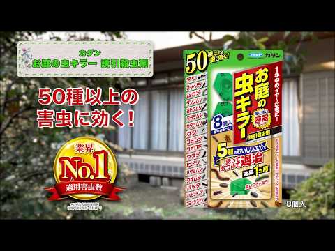 フマキラーカダン お庭の虫キラー 誘引殺虫剤 8個入 5セット-2