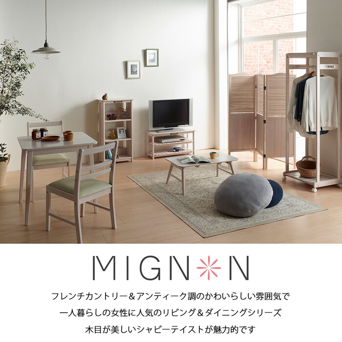 ミニヨンドレッサーテーブル ホワイトウォッシュ 化粧台 収納付き 鏡付き MIGNON-DS74-1