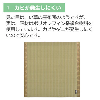 PO織込座布団 祇園 ぎおん グリーン 約55×55×H5cm 2個セット-2