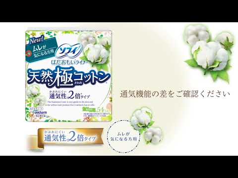 ソフィ はだおもいライナー 天然極コットン 通気性2倍タイプ 無香料 54コ入 8個セット-4