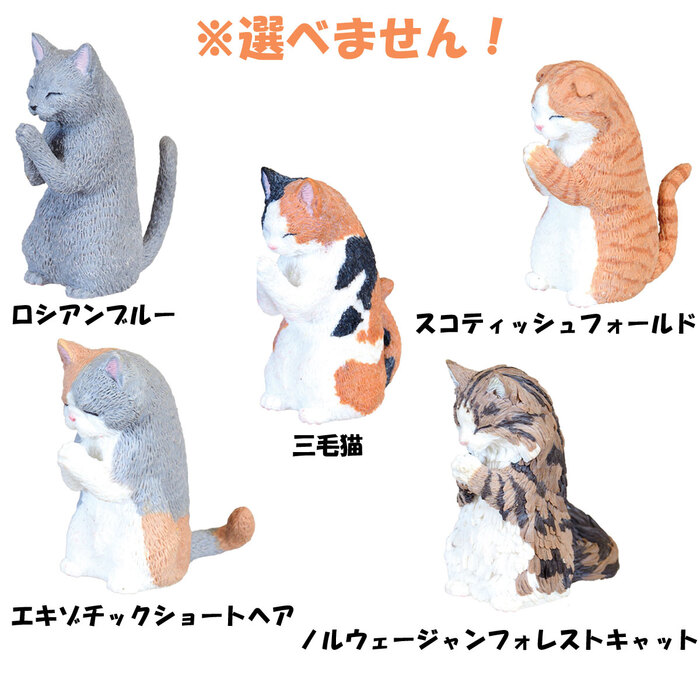 フィギュア 合掌 匠 猫拝 BOX 1個入 8セット-1