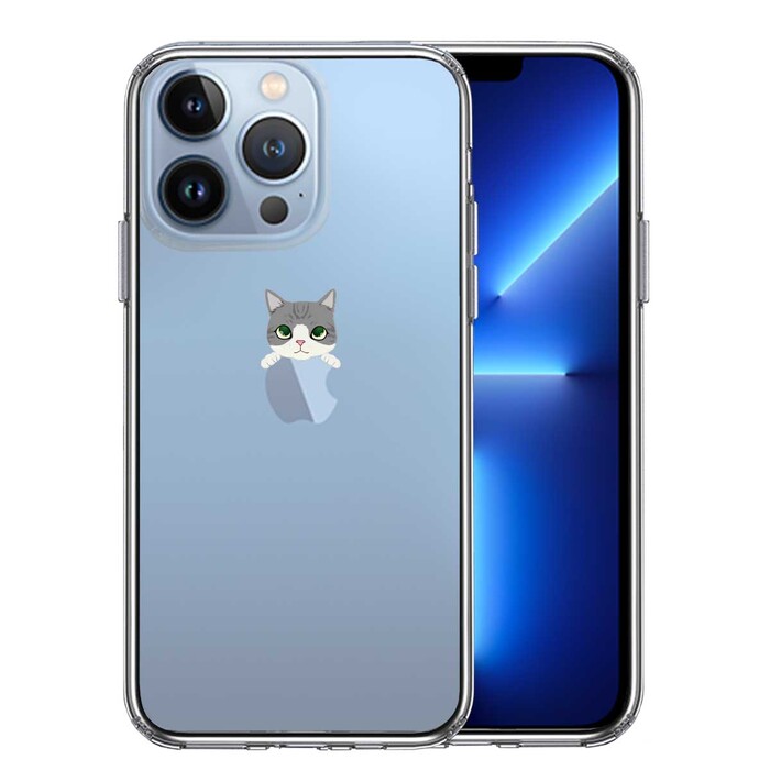 iPhone13Pro ケース クリア  のっかり ネコ サバトラ スマホケース 側面ソフト 背面ハード ハイブリッド-0