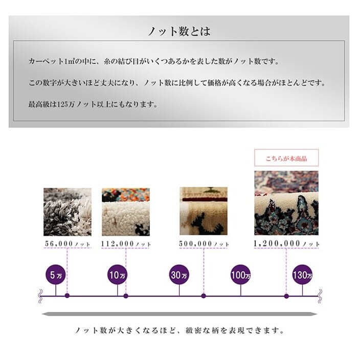 カーペット エジプト製 ウィルトン織カーペット 約200×300cm エクセレント 新生活-3