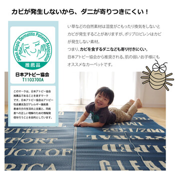 ラグ 万能カーペット 約174×174cm　日本製 アトピー協会推奨品 タイポグラフィ 洗えるポリプロピレンラグ トリド-2
