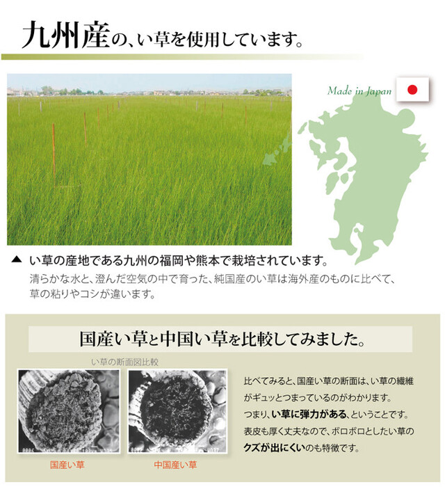 日本製 い草上敷 六一間2畳（185×185cm） 松 まつ-3