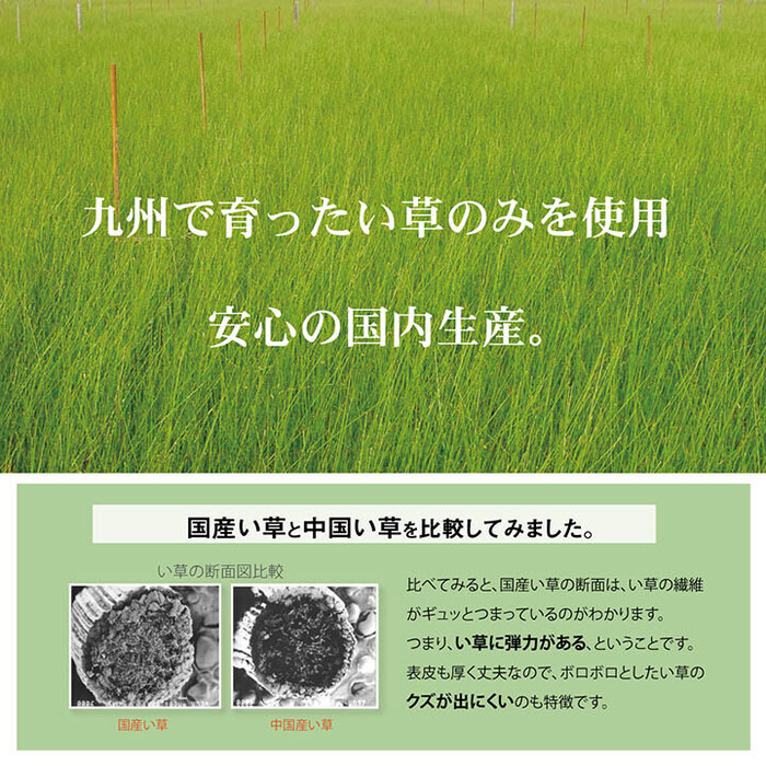 日本製 い草 い草マット 約70×120cm 子供用 お昼寝 シンプル 星柄 約70×120cm デニムスターベビーマット-3
