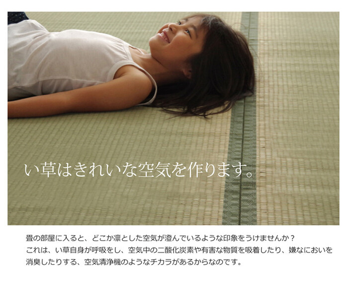 日本製 い草上敷 本間6畳（286×382cm） 草津 くさつ-4