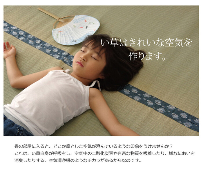 日本製 い草上敷 本間4.5畳（286×286cm） ほほえみ-4