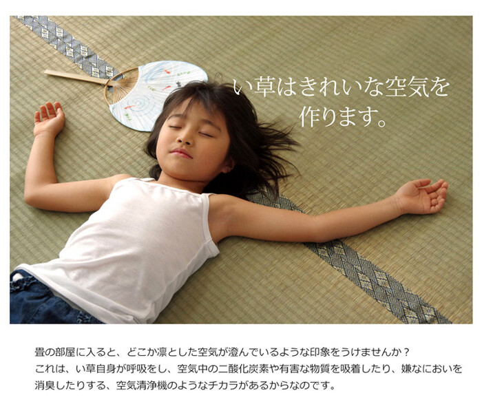 日本製 い草上敷 団地間8畳（340×340cm） 湯沢 ゆざわ-4