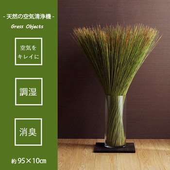 国産 日本製 い草 インテリア オブジェ 消臭 空気清浄 ナチュラル 植物 置物 95×10cm 畳のもと-0