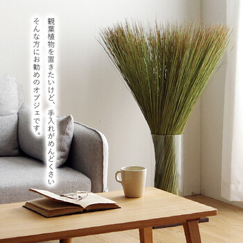 国産 日本製 い草 インテリア オブジェ 消臭 空気清浄 ナチュラル 植物 置物 95×10cm 畳のもと-1