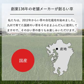 国産 日本製 い草 インテリア オブジェ 消臭 空気清浄 ナチュラル 植物 置物 95×10cm 畳のもと-5