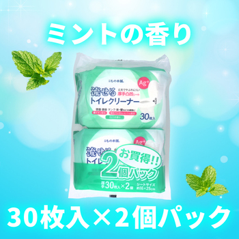 ... toilet cleaner mint. fragrance 30 sheets insertion ×2 piece pack 15 set -2