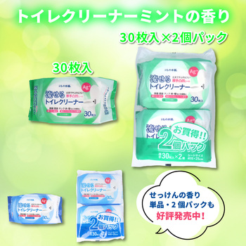 ... toilet cleaner mint. fragrance 30 sheets insertion ×2 piece pack 15 set -4