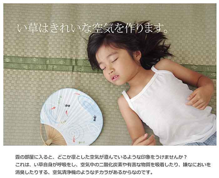 カーペット 純国産 い草 上敷き カーペット 三六間6畳（約273×364cm) 市松織 不知火 熊本県八代産イ草使用-1