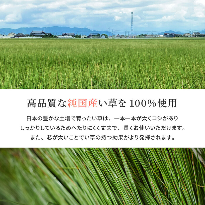 国産い草 玄関マット 約87×150cm 裏貼りあり 滑りにくい加工 エルモード ブルー-1