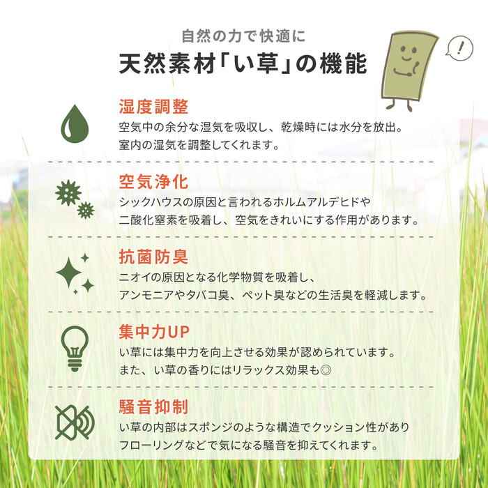 国産い草 玄関マット 約87×150cm 裏貼りあり 滑りにくい加工 エルモード ブルー-2