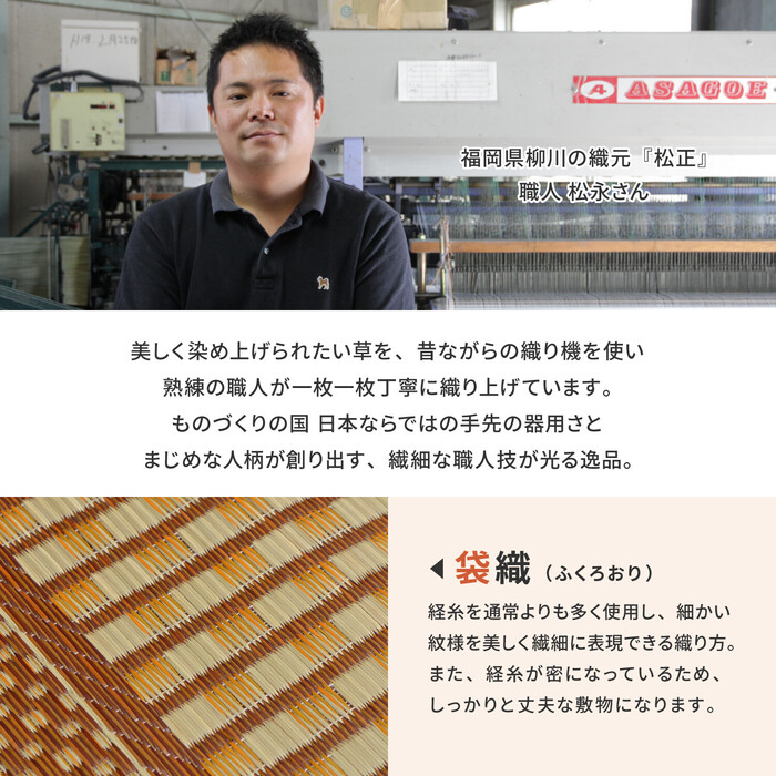 国産い草 玄関マット 約87×150cm 裏貼りあり 滑りにくい加工 エルモード ブルー-3