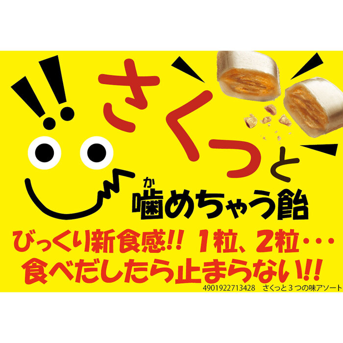 さくっと 3つの味アソート 55g 12個セット-5