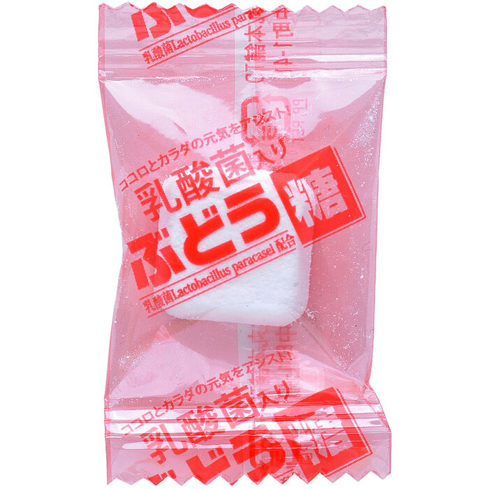 乳酸菌入り ぶどう糖 ２ｇ×２０粒 8セット-2
