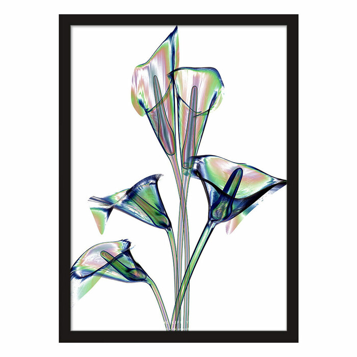 アートポスター A4 独特な世界観 NYCP 113c 個性派 デザインセレクト-0