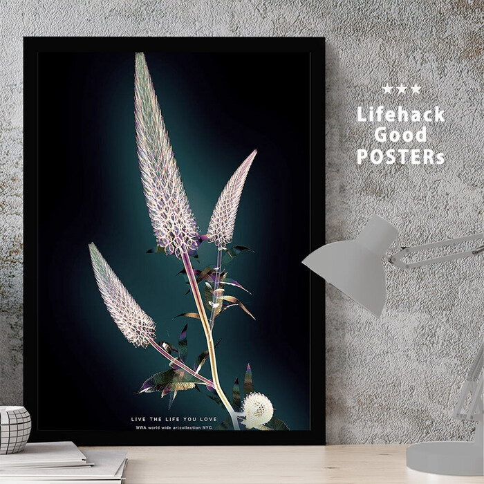 アートポスター A4 独特な世界観 NYCP 115 個性派 デザインセレクト-1