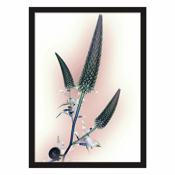 アートポスター A3 独特な世界観 NYCP 116a 個性派 デザインセレクト-0