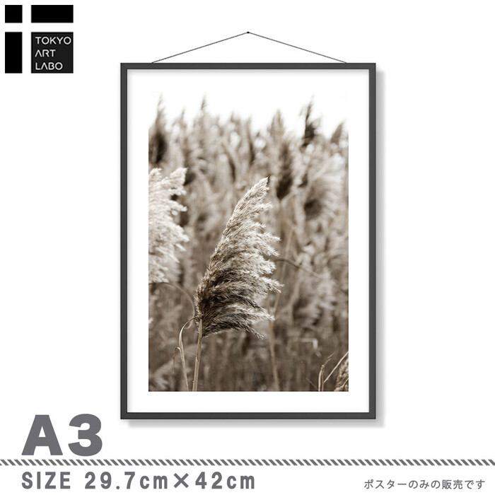 アートポスター A3 余白バランスがおしゃれA3 A3 北欧 モダン 絵 ナチュラル ベージュ パンパスグラス-2
