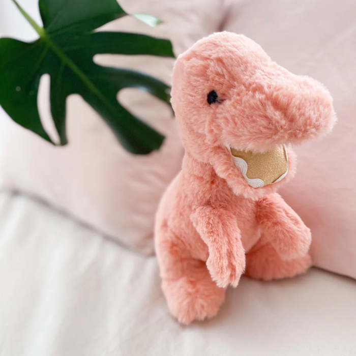 ぬいぐるみ スー ティラノサウルス MON AMI ラッピング可-2