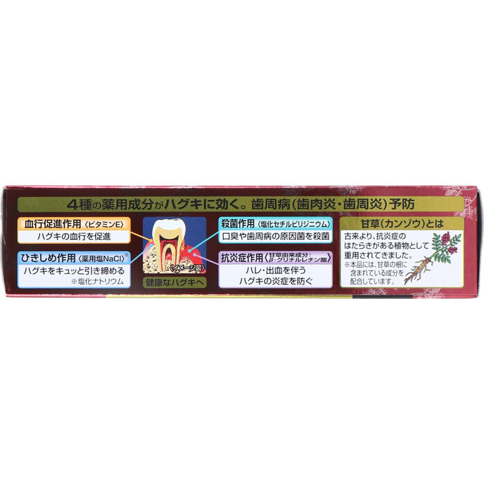 サンスター薬用塩ハミガキ 85g 3個セット-2