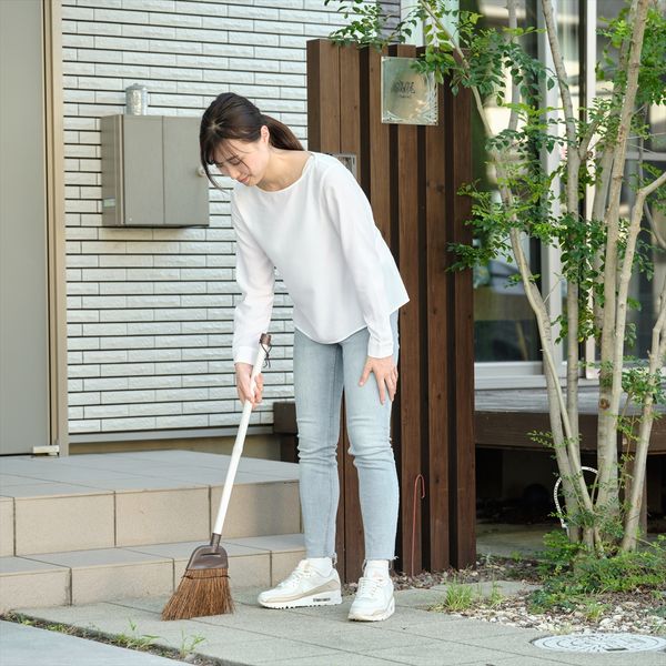 Dailｙ Clean 庭箒 シダ S 2 ×5個セット-4