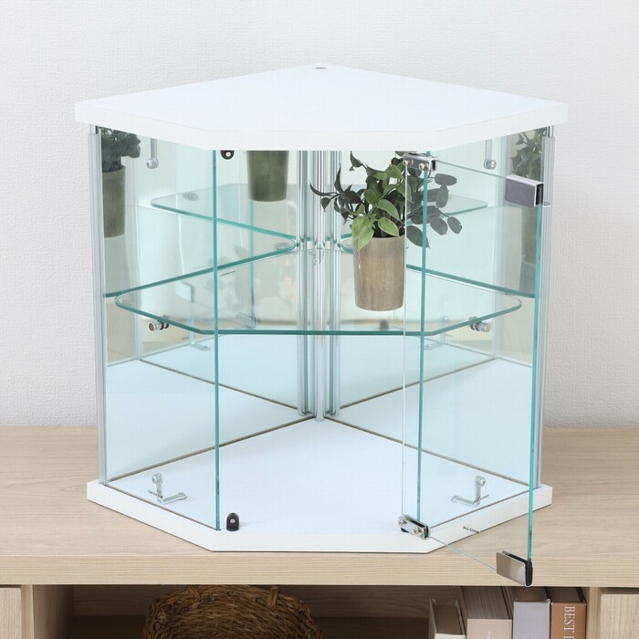 不二貿易（Fuji Boeki） 卓上ガラスコレクションケース コーナー