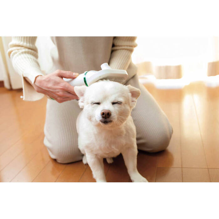 アナバス ペットドライヤー PET D1 ギフト対応可-2
