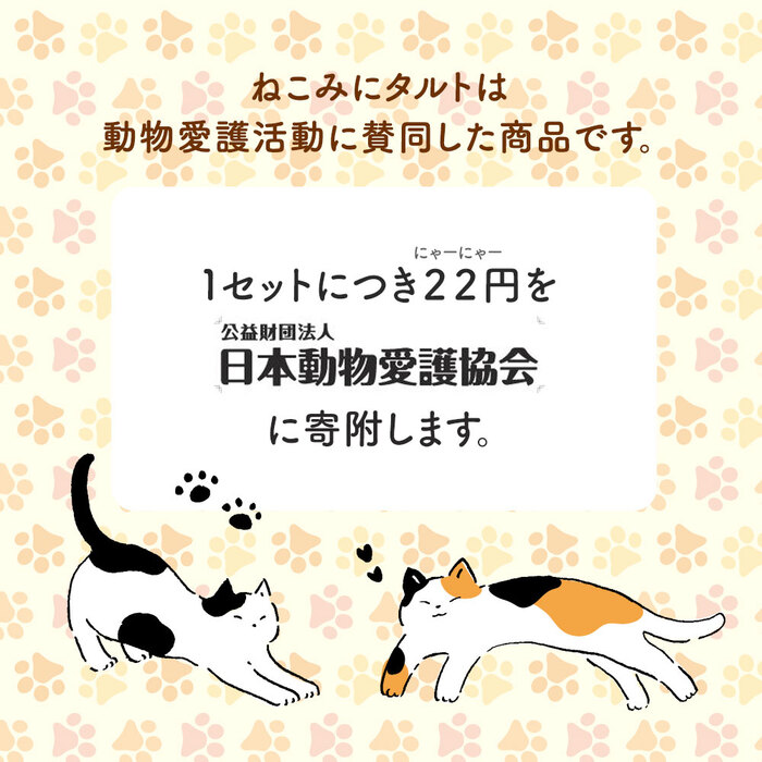 ねこみにタルト9個入 タルト ケーキ スイーツ 猫 ネコ-3