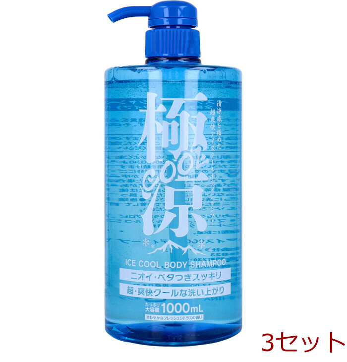 極涼COOL アイスクールボディシャンプー さわやかなフレッシュシトラスの香り 1000mL 3個セット-0