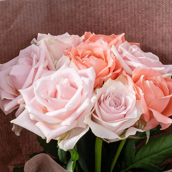 ホシファーム 届いた姿でそのまま飾れるスタンディング薔薇ブーケ スイート８本-1